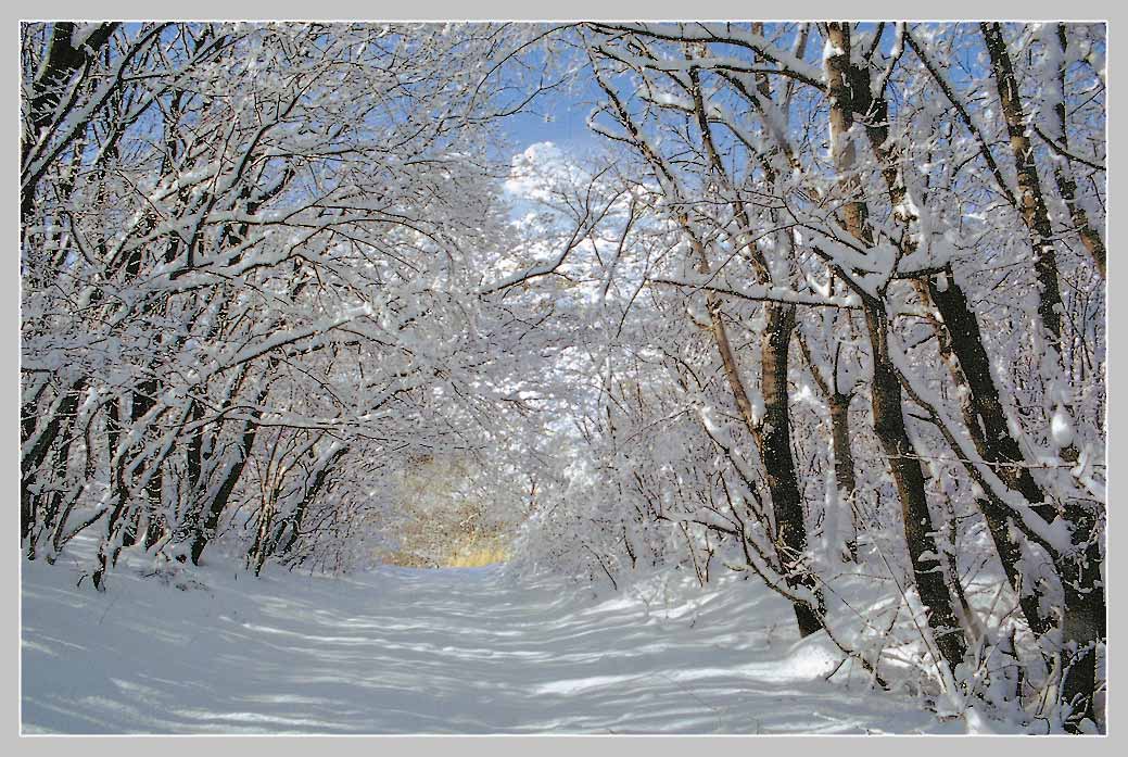 Картинки Зимы Декабрь Январь Февраль